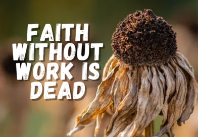 24th Sunday in Ordinary Time – Faith Without Work is Dead